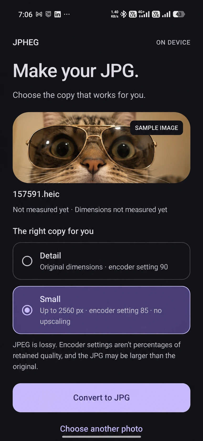 JPHEG options screen with a playful cat in aviator sunglasses inserted in the preview, labelled SAMPLE IMAGE.